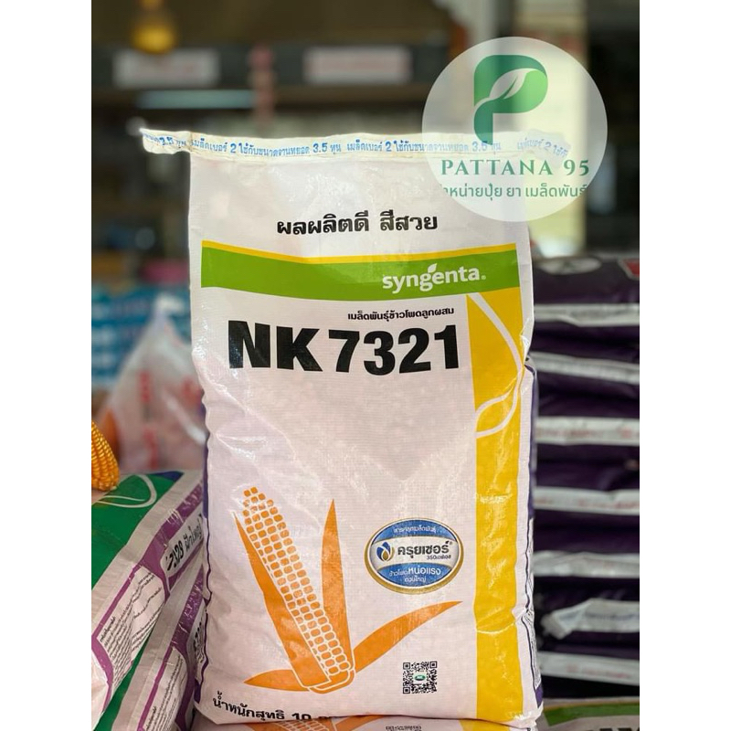 เมล็ดพันธุ์ข้าวโพด NK7321 (3.5หุน) *ขนาด 10 กก. เก็บเกี่ยวเร็ว นํ้าหนักดี สีสวย ฝักสมํ่าเสมอทั้งไร่ 