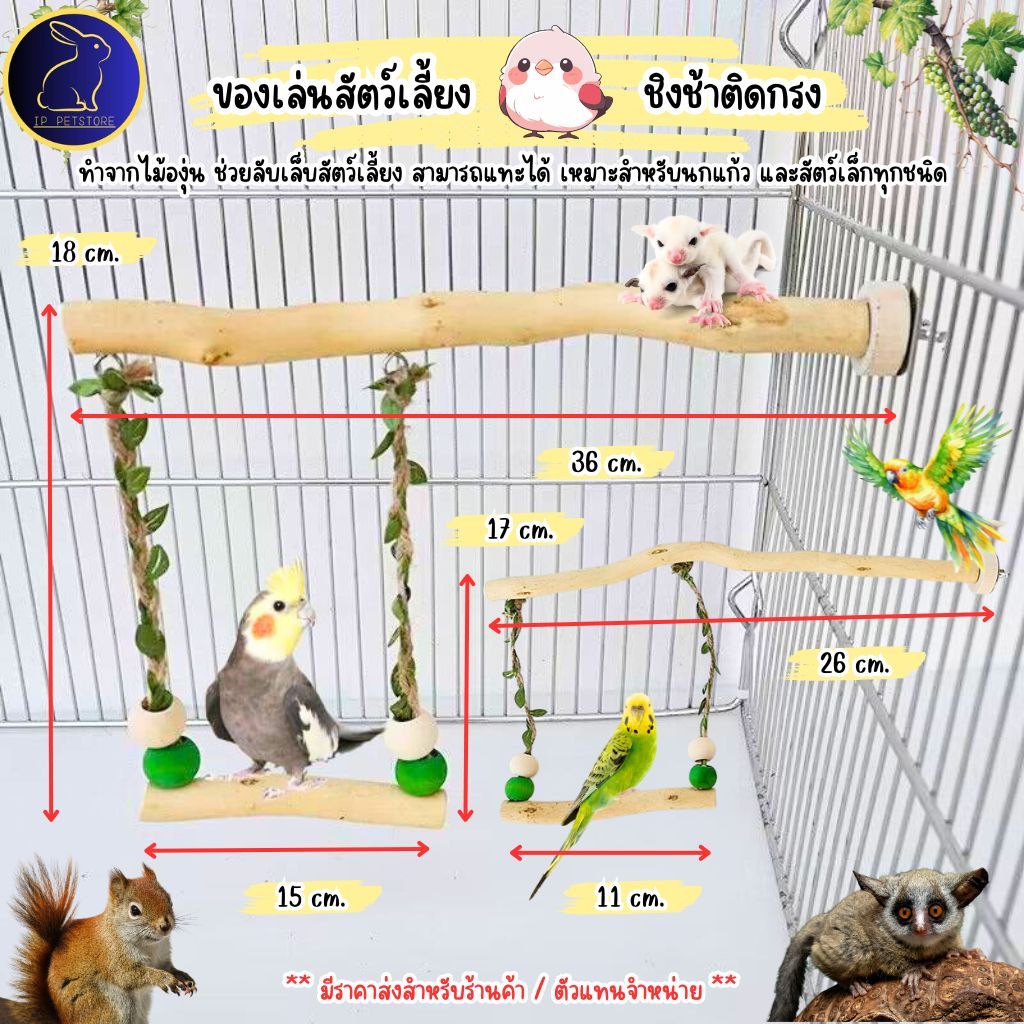 ของเล่นนก ชูก้าร์ไกรเดอร์ กระรอก ชิงช้าสัตว์เลี้ยง ชิงช้ามีเถาวัลย์ ของเล่นสัตว์เลี้ยง (IP)