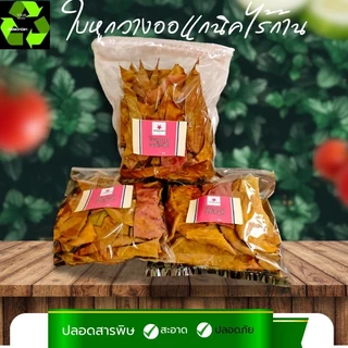 ใบหูกวางออแกนิค ไร้ก้าน #Terminalia Catappa# Malabar leaves #สะอาดปลอดภัยผ่านการฆ่าเขื้อใช้งานง่าย จำนวน1ถุง
