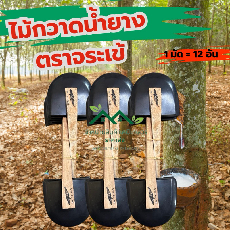 ไม้กวาดน้ำยาง ตราจระเข้ 1 มัด = 12 อัน ยางนิ่ม กวาดง่าย