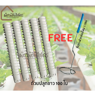 ถ้วยปลูกขาวไฮโดรโปนิกส์ จำนวน 50 , 100 ใบแถมฟรีที่เจาะ มึเซ็…
