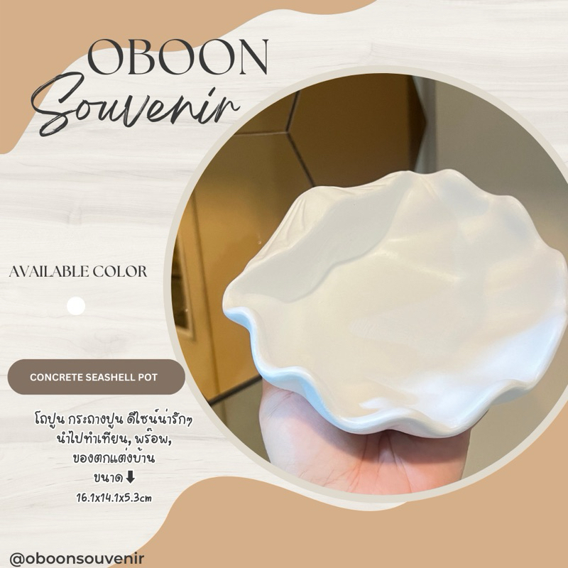 โถปูน รูปฝาหอย CONCRETE SEASHELL POT สามารถนำไปใส่ของ เครื่องประดับ หรือทำเทียนได้ค่ะ