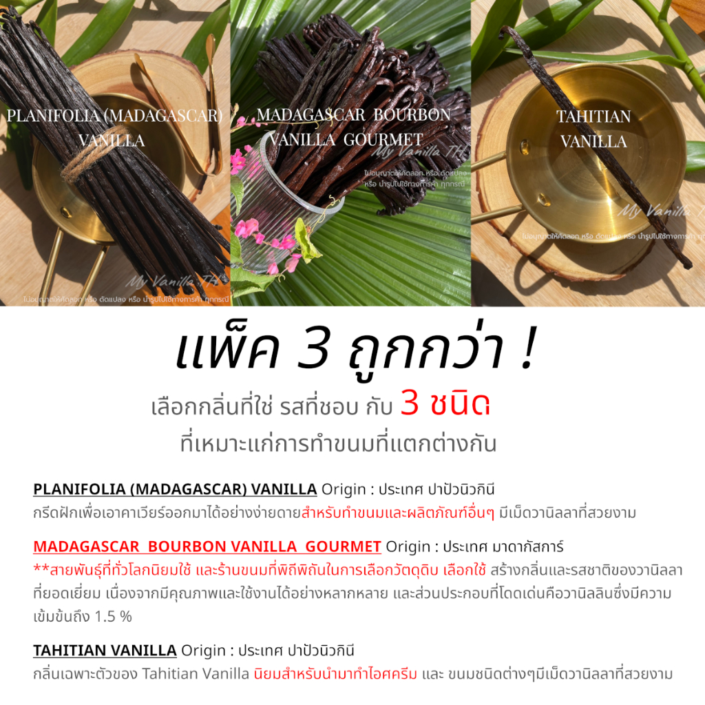 ฝักวานิลลา 3 สายพันธุ์ โปรโมชั่นแพค3 ถูกกว่า!! - 3 types of vanilla with Hot Price - My Vanilla TH