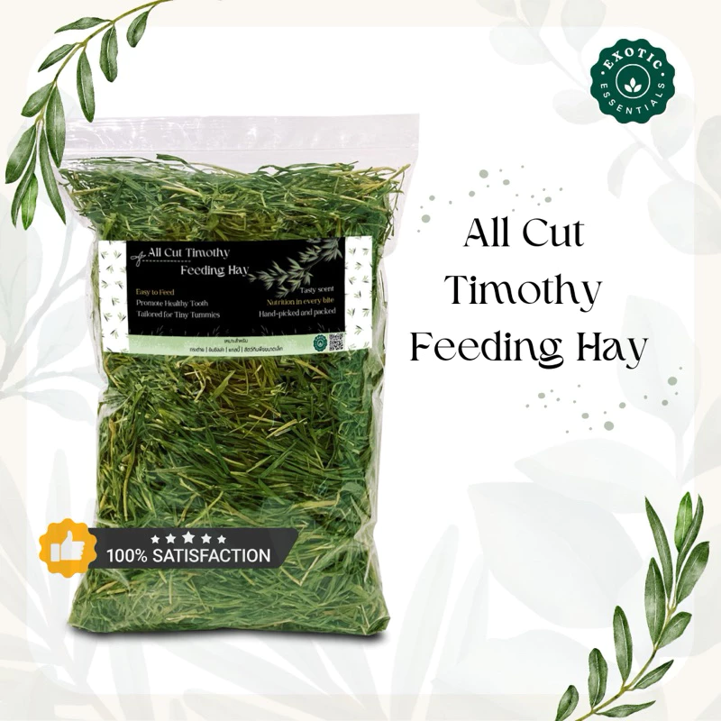 Exotic Essentials 🌿All Cut Timothy Hay หญ้าทิมโมธี สำหรับกระต่าย ชินชิลล่า แกสบี้ แพรรีด็อก