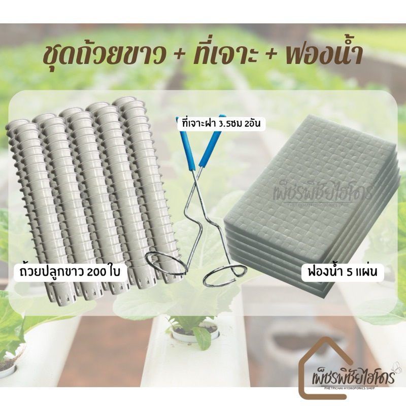 ถ้วยปลูกผักไฮโดรโปนิกส์ 200 ใบ ที่เจาะ2อัน แถมฟองน้ำละเอียด96ช่องปลูก 5แผ่น