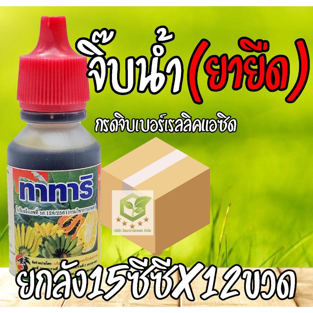 /ยกลัง12ขวด/ จิ๊บ ยายืด ขนาด 15ml. ยายืดช่อดอก ยืดรวงข้าว ยืดต้นกล้าพืช จิ๊บโต้
