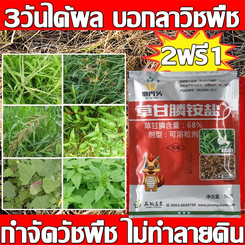 นักฆ่าต้นไม้ใหญ่ ผงเกลือพิเศษเพื่อกำจัดวัชพืชโดยเฉพาะ สารกําจัดกอไผ่ ยากําจัดต้นไม้และไผ่ให้หมดจดวัชพืช
