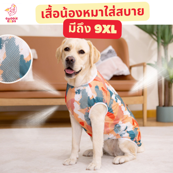 พร้อมส่ง!! เสื้อสัตว์เลี้ยงใส่สบายเหมาะกับใส่อยู่บ้าน ลายทหาร เสื้อสุนัขใหญ่ โดย Goodie dogs