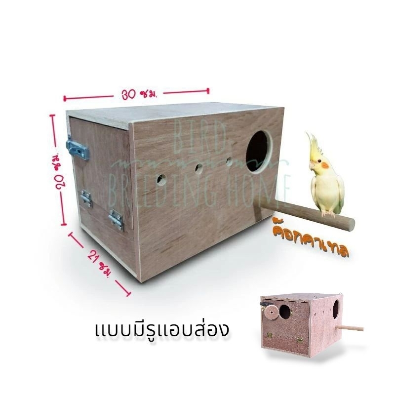 บ้านนก กล่องเพาะเลี้ยง นกค็อกคาเทล