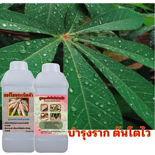 ฮอร์โมนเร่งหัวมันสําปะหลัง ซื้อ 1 ลิตร ฟรี 1 ลิตร