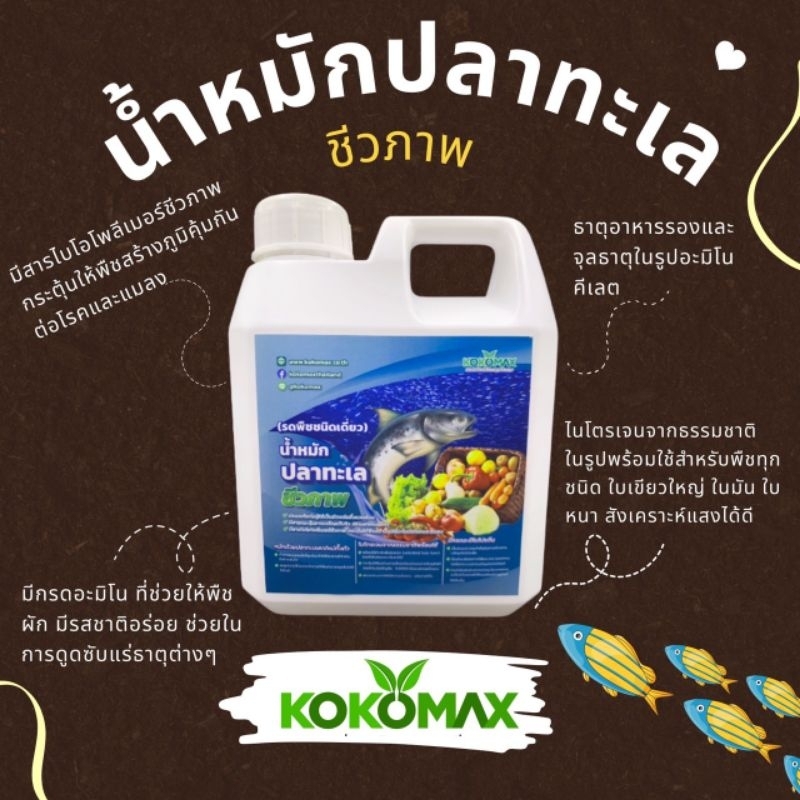 น้ำหมักปลาทะเลชีวภาพ รดพืช  ซื้อ 5 แถม 1