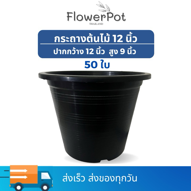 (50ใบ) กระถางพลาสติก 12 นิ้ว สีดำ