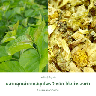 ชาใบหม่อนดอกเก๊กฮวย ตราไร่กฤติยา (Mulberry Leaves Chrysanthemum Flower Blended Tea)