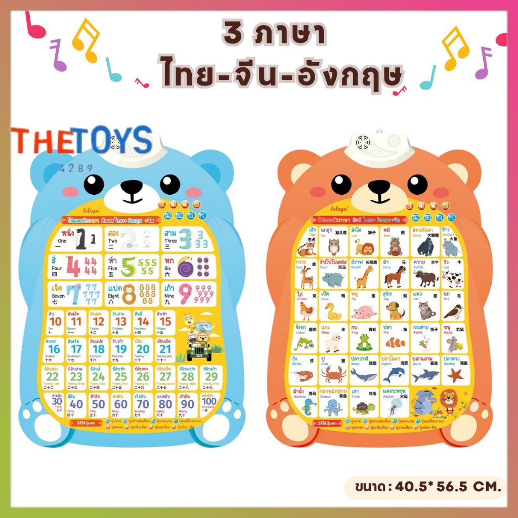 Thetoys4289 ของเล่นเสริมพัฒนาการเด็ก โปสเตอร์สอนคำศัพท์ สื่อการสอน โปสเตอร์พูดได้ 3 ภาษา โปสเตอร์