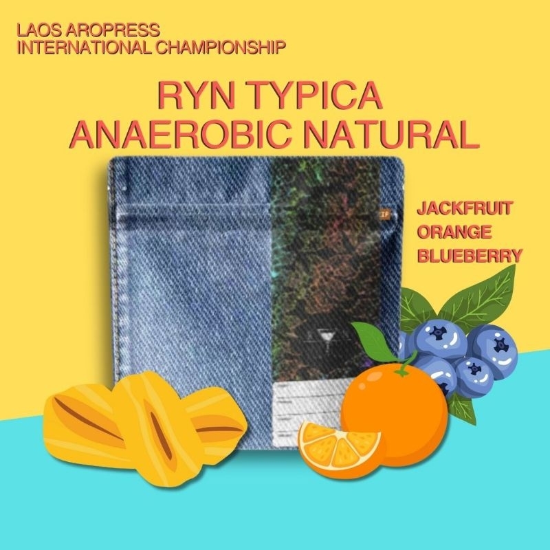 เมล็ดกาแฟ Ryn Typica Anaerobic Natural (Light Roast)