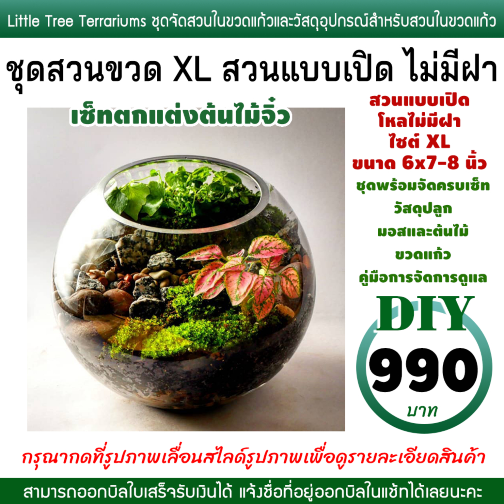 Terrarium ชุดจัดสวนในขวดแก้ว สวนต้นไม้จิ๋ว ไซต์ XL 999 สวนแบบเปิดไม่มีฝา