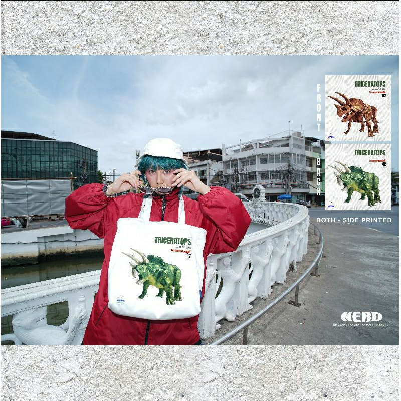 𝑵𝑬𝑹𝑫- <TRICERATOPS > 𝑪𝒂𝒏𝒗𝒂𝒔 𝑻𝒐𝒕𝒆 𝑩𝒂𝒈  / 𝑼𝒏𝒊𝒔𝒆𝒙 / 𝑻𝒐𝒕𝒆 𝑩𝒂𝒈  𝑫𝒊𝒏𝒐𝒔𝒂𝒖𝒓 & 𝑨𝒏𝒄𝒊𝒆𝒏𝒕 𝑨𝒏𝒊𝒎𝒂𝒍𝒔 𝑪𝒐𝒍𝒍𝒆𝒄𝒕𝒊𝒐𝒏