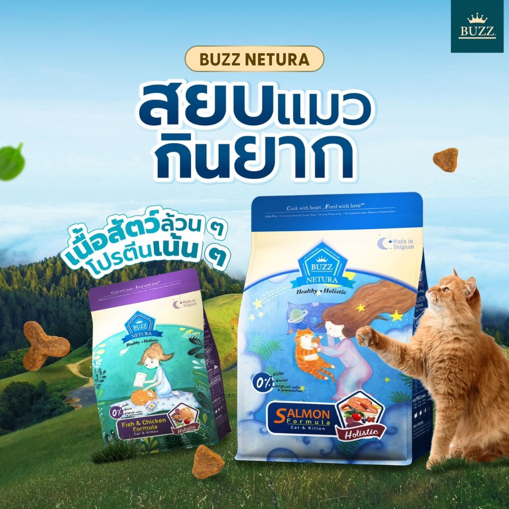 Buzz อาหารเม็ดแมว สูตรโฮลิสติก - เกรนฟร ขนสวย ลดการเกิดนิ่ว สำหรับลูกแมวและแมวโต ขนาด 1 กิโล