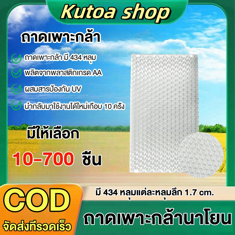 ถาดเพาะกล้านาโยน ถาดเพาะข้าว ถาดเพาะชำ ถาดเพาะเมล็ด (100-500 ชิ้น) ถาดเพาะกล้า 434 หลุม