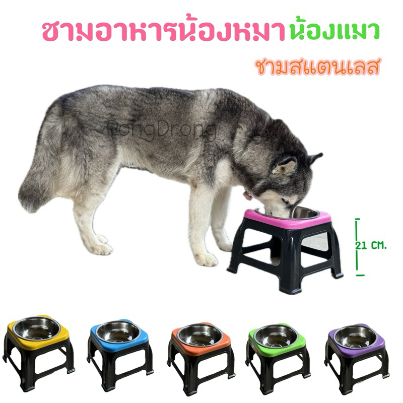 ‼️promotion ‼️ชามอาหารสัตว์เลี้ยง ชามหมา ชามแมว