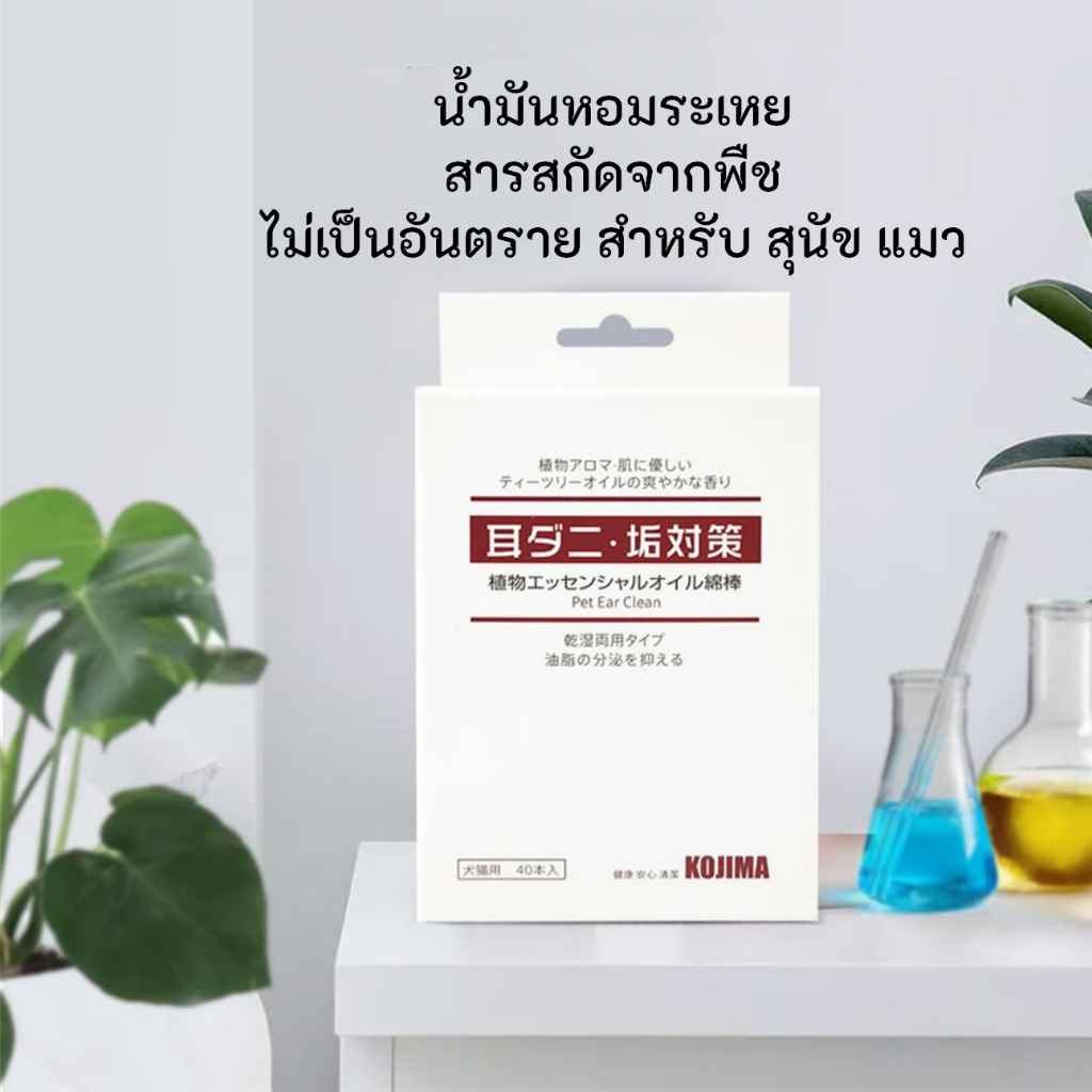 รูปภาพ 2