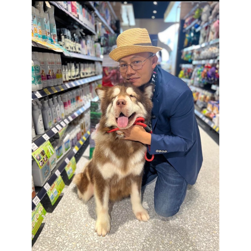 สเปรย์นาโนสุนัขผื่นคันเกาขี้เรื้อนเชื้อรายีสต์ขนไม่เกิดใช้ทุกวันเช้าเย็นโดยไม่ต้องล้างออกสเปรย์สุนัข200ml.หายคันสบายตัว