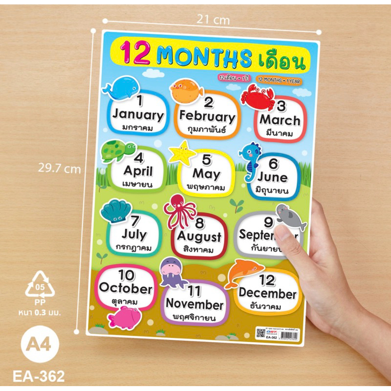 โปสเตอร์ความรู้ สื่อการเรียนการสอน ชุด 12 Months ขนาด A4 สีคมชัด EA-362 บรรจุ:1แผ่น