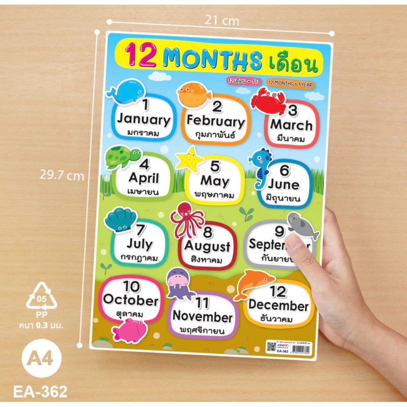 โปสเตอร์ความรู้ สื่อการเรียนการสอน ชุด 12 Months ขนาด A4 สีคมชัด EA-362 บรรจุ:1แผ่น