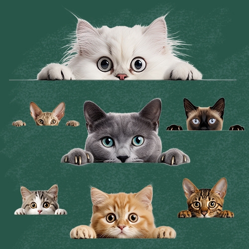 ตัวรีดติดเสื้อ หน้าแมวน่าเอ็นดู  (FP)  set.02 รีดติดง่ายทุกเนื้อผ้า DIY Patches