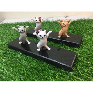 หินดำอินเดีย ขนาด4.8×10cm. พร้อมลบคมให้ขัดเงาสวยงาม