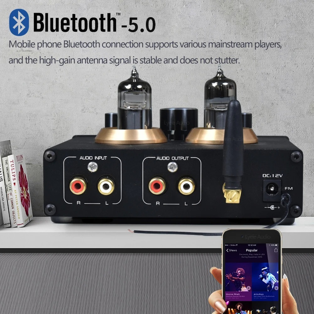 BRZHiFi VOL65U HiFi Tube PreAmp  ปรีแอมป์ หลอด เสียงดี Bluetooth 5.0 USB TF