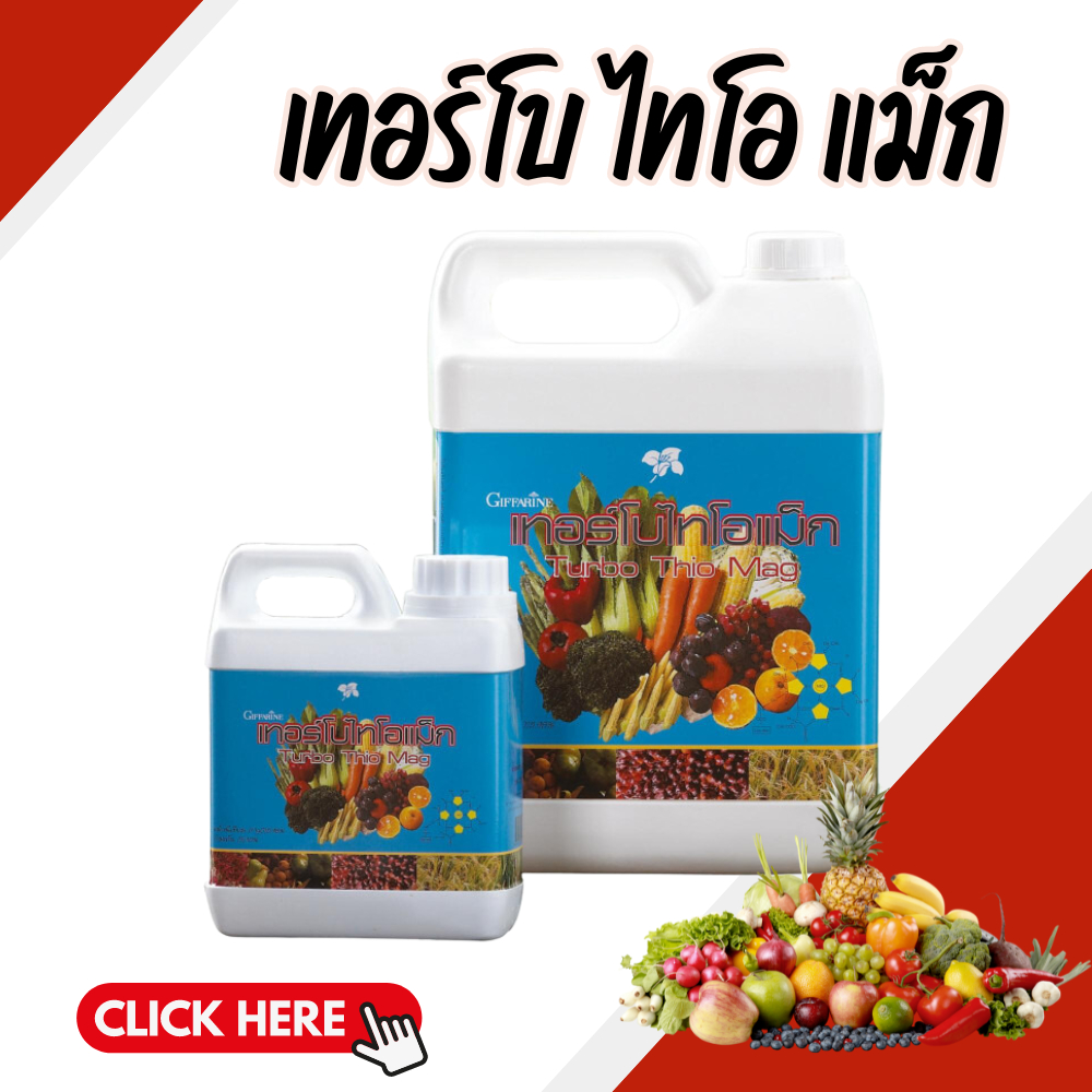 เทอร์โบ ไทโอ แม็ก ปุ๋ย ปุ๋ยกิฟฟารีน Turbo Thio Mag เป็นธาตุอาหารรองที่พืชต้องการในการนำไปเพิ่มคลอโรฟิลล์หรือสารสีเขียว