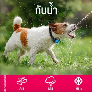 ปลอกคอ สุนัข กันหมาเห่า ปลอกคอไฟฟ้า สามารถปรับได้ กันน้ํา ปลอดภัยไม่เป้นอันตราย สำหรับป้องกันการเห่า 3 แบบโหมดการทำงาน