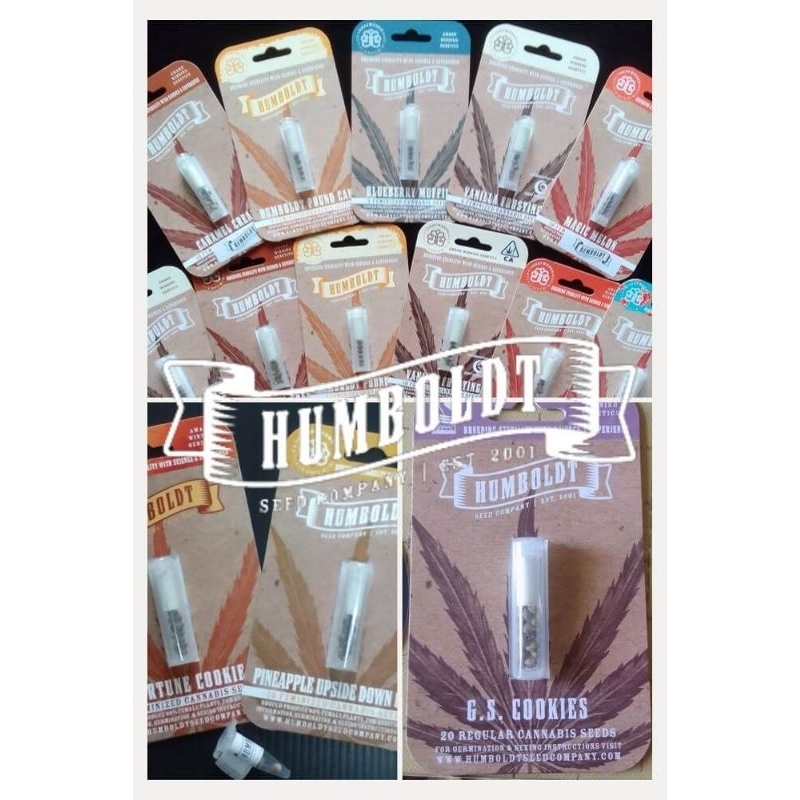 เมล็ดกัญชาเพศเมีย สายพันธุ์ HumboldtSeedsCo