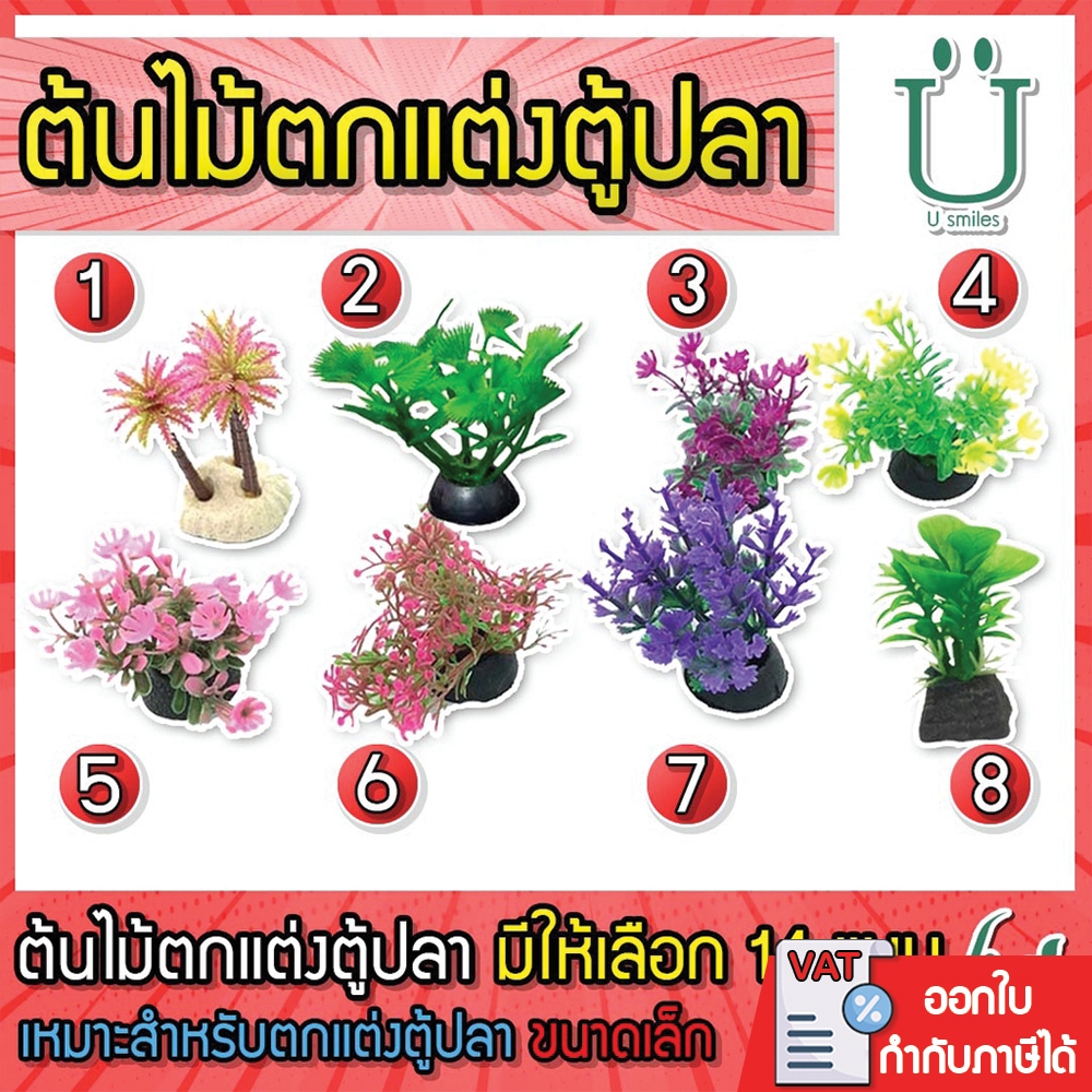 ต้นไม้จิ๋ว 10 บาท ไว้ตกแต่งตู้ปลา (ชุดที่ 1)  (ถูกที่สุด🔥 ดีที่สุด🔥)