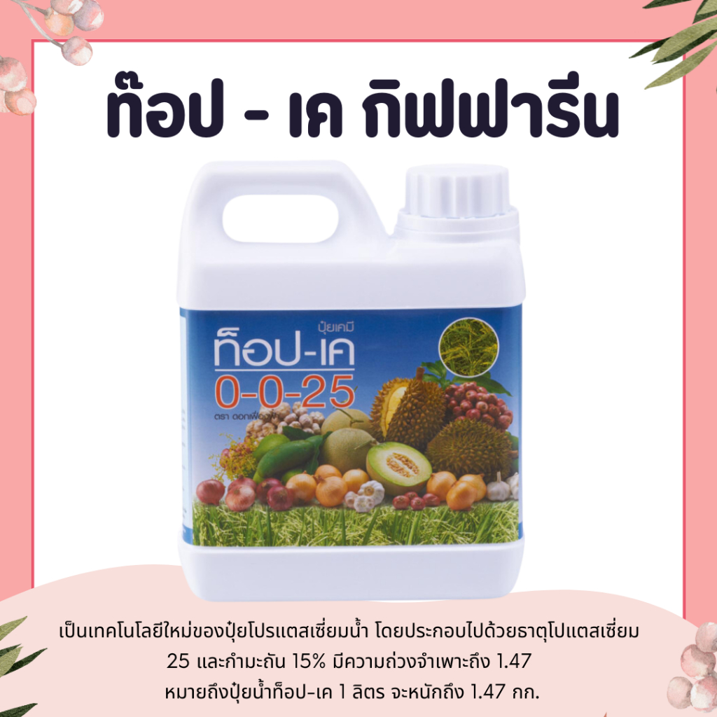 ท๊อป - เค กิฟฟารีน ปุ๋ย ปุ๋ยกิฟฟารีน แตสเซี่ยมและกำมะถัน เร่งให้ผลไม้สุกเร็ว เพิ่มความหวาน