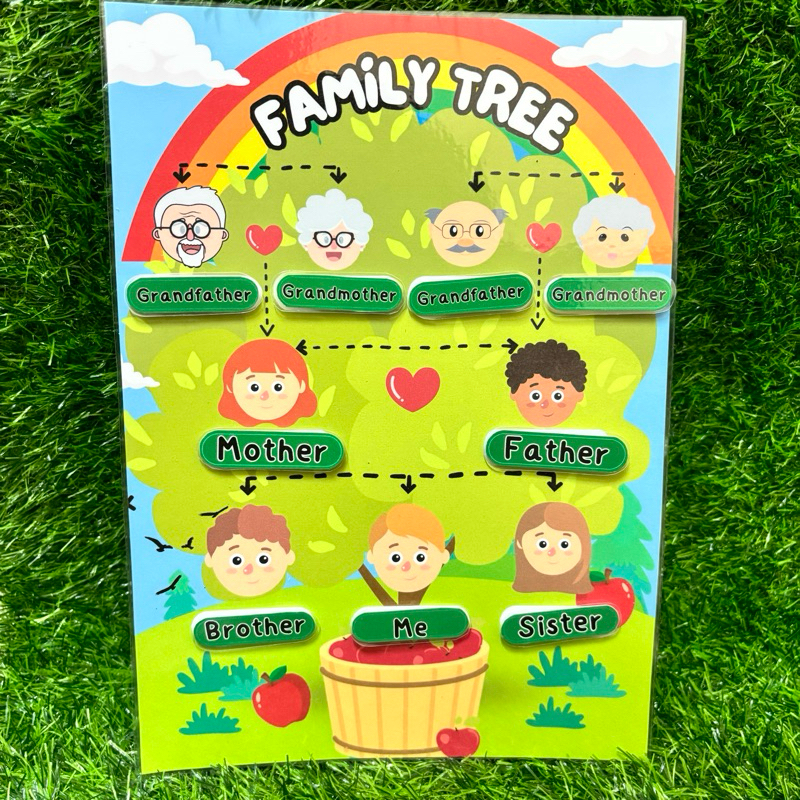สื่อการสอนวิชาภาษาอังกฤษ เรื่อง Family tree