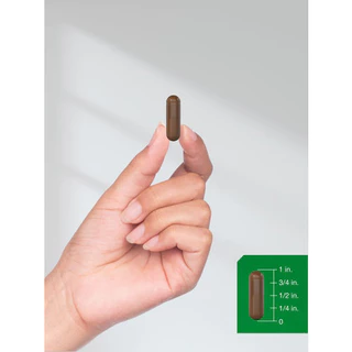 Horbaach Pine Bark Extract 6000 mg, 180 Capsules (No.3119) ยอดขายอันดับ 1