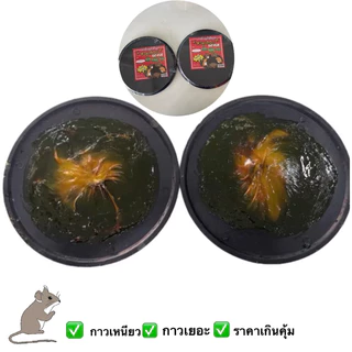 กาวดักหนูตราหนูเยอะแพ็ค1*2ถาดเหนียวแน่นจับอยู่หมัด
