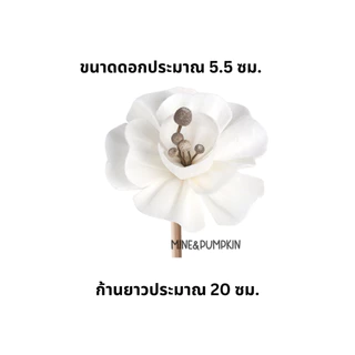 【M&P】ก้านไม้หวาย ก้านไม้งา ดอกไม้ ก้านไม้กระจายกลิ่น ก้านไฟเบอร์ ก้านไม้หอมระเหย