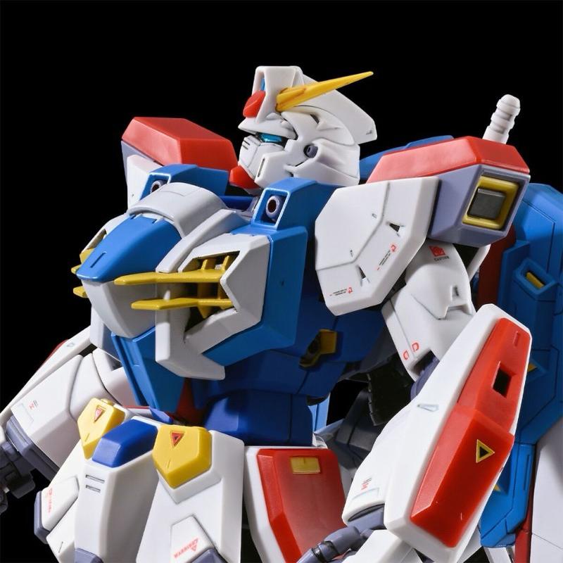 (พร้อมส่ง) BANDAI MG 1/100 Gundam F90 N-Type PREMIUM BANDAI Model Kit