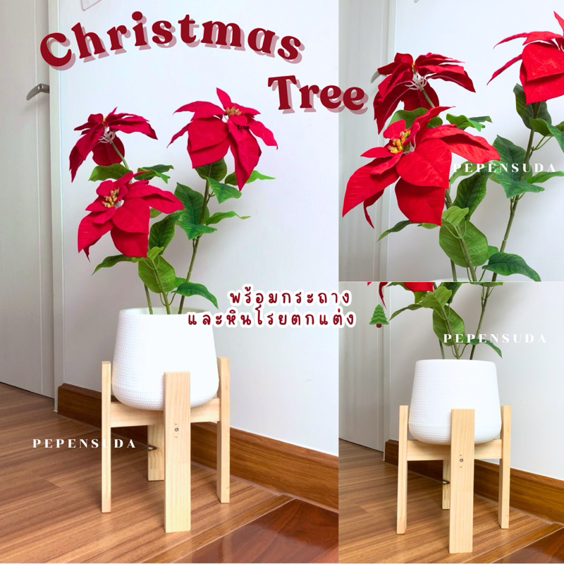 ต้นคริสต์มาส Christmas tree เสมือนจริง พร้อมกระถางมินิมอล 7 นิ้วและหินโรยตกแต่ง (ส่งจากไทย)