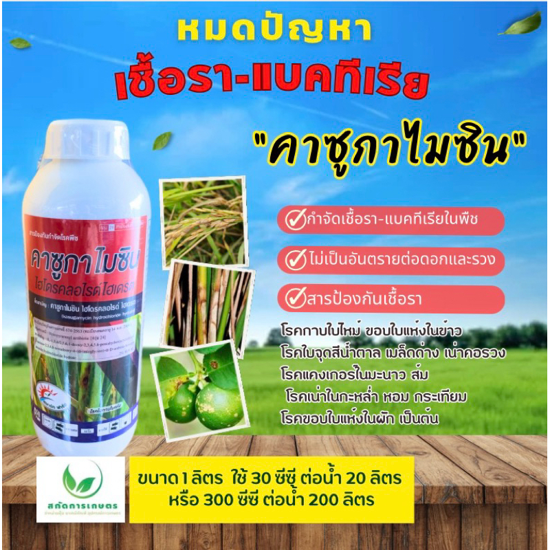 คาซูกาไมซิน ขนาด 1 ลิตร ป้องกันกำจัดเชื้อราและแบคทีเรียในพืช กาบใบไหม้ ใบจุดสีน้ำตาล เมล็ดด่าง  โรคแคงเกอร์มะนาว ส้มโอ