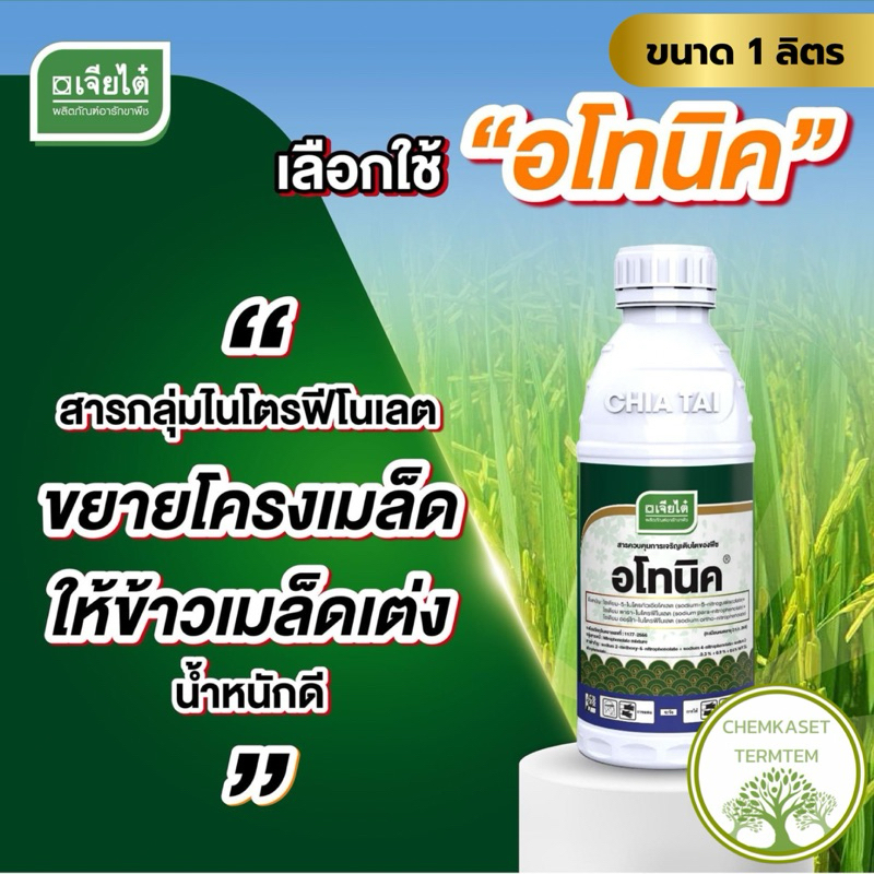อโทนิค ขนาด 1 ลิตร ️ อโทนิค 1,000 cc  กระตุ้นการเจริญเติบโตของพืช ขั้วเหนียว ลดการหลุดร่วง
