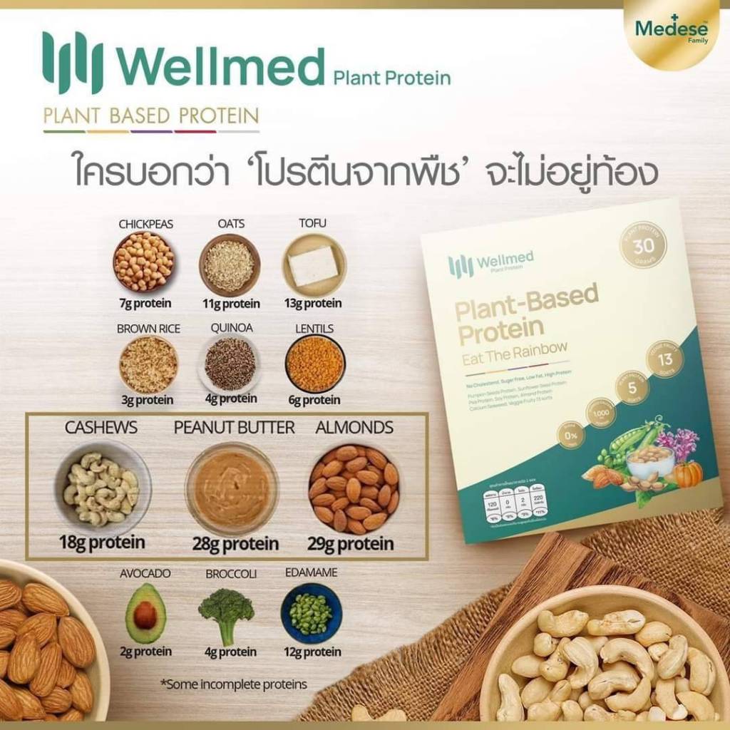 Wellmed Plant Based Protein