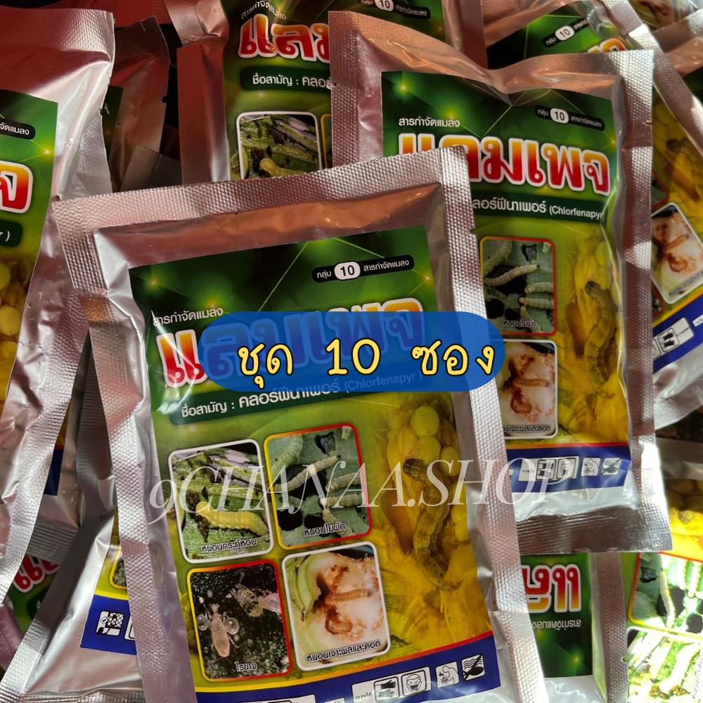 [ ชุด 10 ซอง ] แลมเพจ (คลอฟีนาเพอร์) ขนาด 100 กรัม กำจัดหนอนชนิดแทรกซึม
