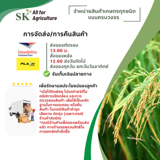 แลมบ์ดา-ไซฮาโลทริน สูตรเย็น ฉีดผ่าดอกได้ ขนาด 1 ลิตร