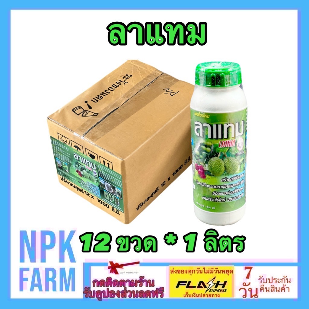 ขายยกลัง ลาแทม ขนาด 1 ลิตร ยกลัง 12 ขวด เอนไซม์พืช สร้างภูมิต้านทาน ไฟท็อป เปลือกแตก ยางไหล ราใบติด