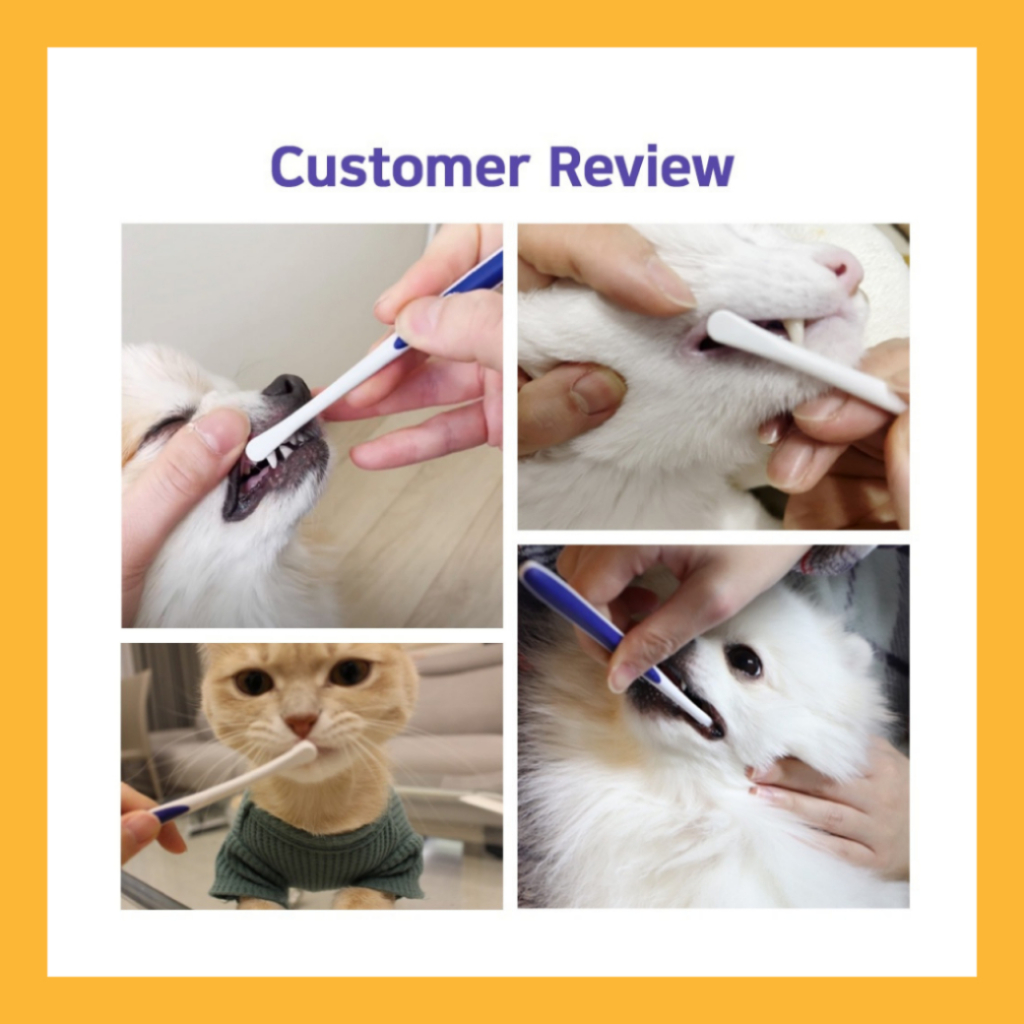 [Junglemonster] แปรงสีฟัน Size M ขนแปรงนุ่มพิเศษ สําหรับสัตว์เลี้ยง สุนัข และแมว Premium Dog and C - รูปที่ 6