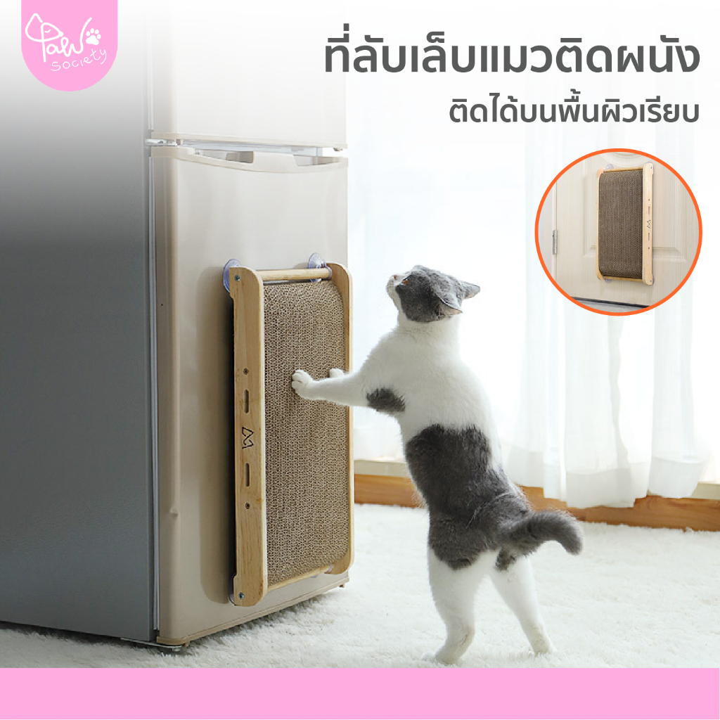 PawSociety ที่ลับเล็บแมว ติดผนัง ที่ฝนเล็บแมว เปลี่ยนรีฟิลได้ ปรับองศาได้อิสระ